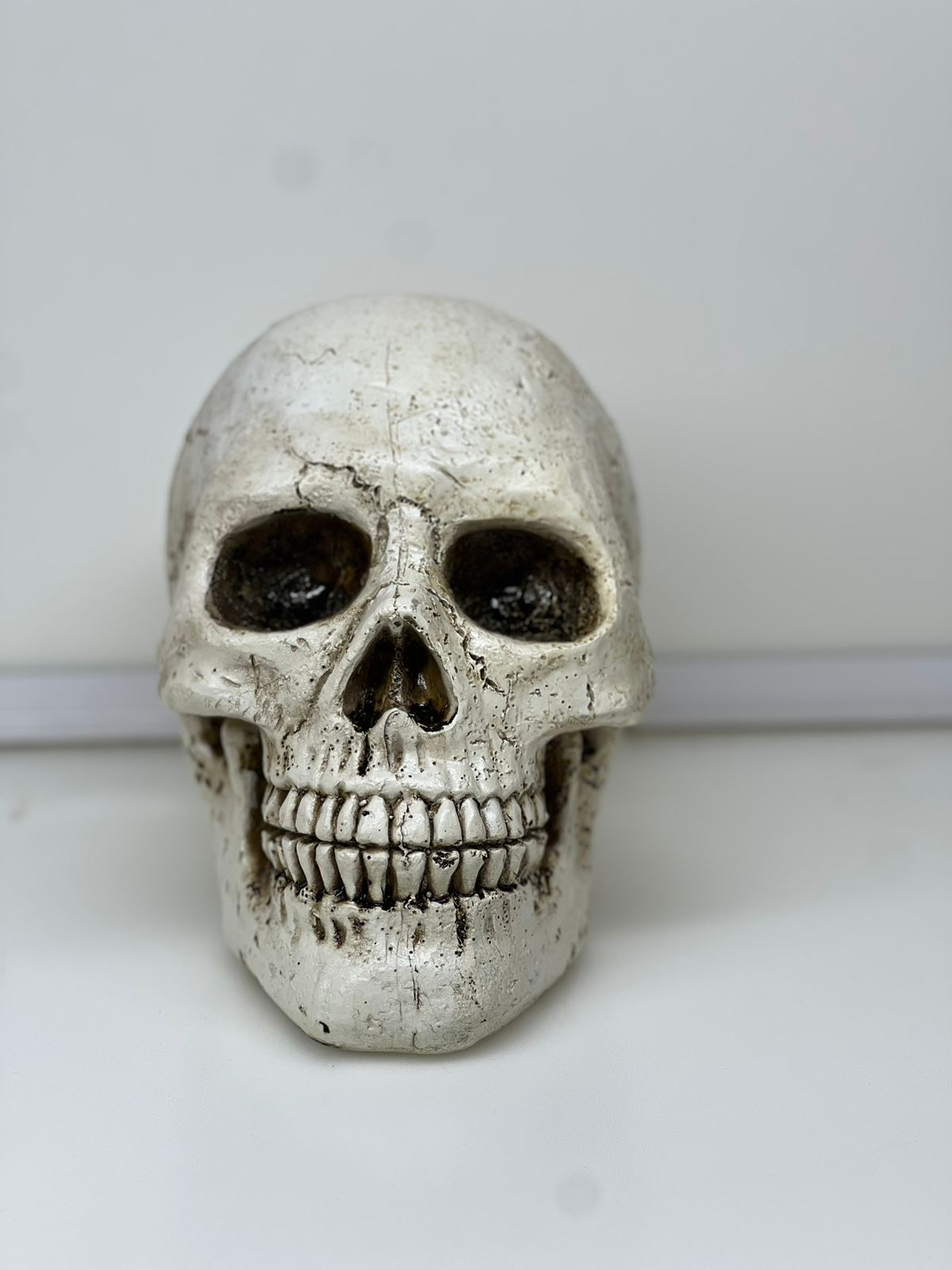 Realistic Halloween Skull Decoration – 18cm Gothic Tabletop Decor