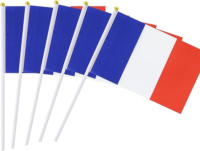 France Flag – A5 Size Handheld (Pack of 5)
