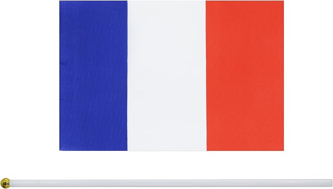 France Flag – A5 Size Handheld (Pack of 5)