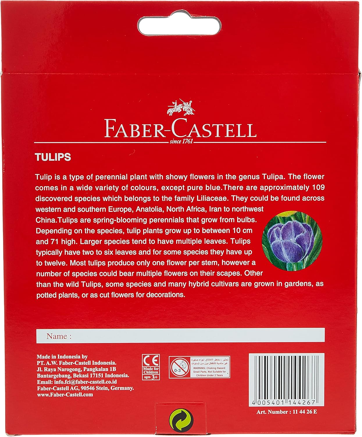 Faber-Castell Colouring Pencil, 24 Colours.