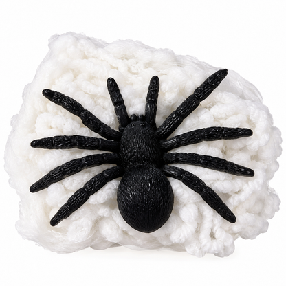 Halloween White Spider Web Decoration with Black Spider, Stretchable Cobweb Party Decor, 25CM