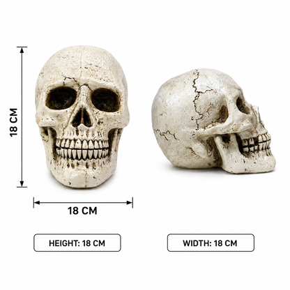 Realistic Halloween Skull Decoration – 18cm Gothic Tabletop Decor