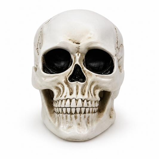 Human Skull Figurine – Gothic Tabletop Skull Statue for Home Décor
