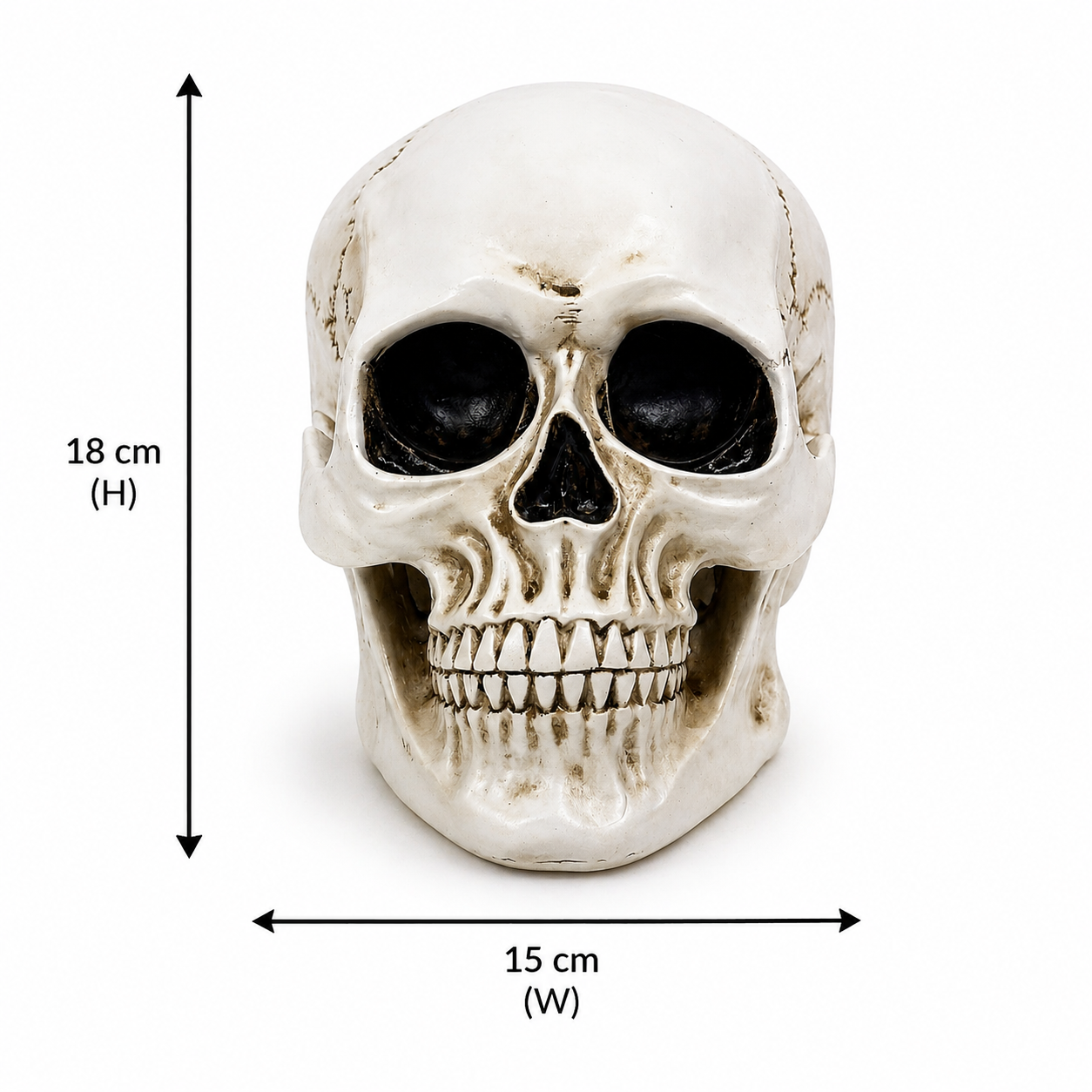 Human Skull Figurine – Gothic Tabletop Skull Statue for Home Décor