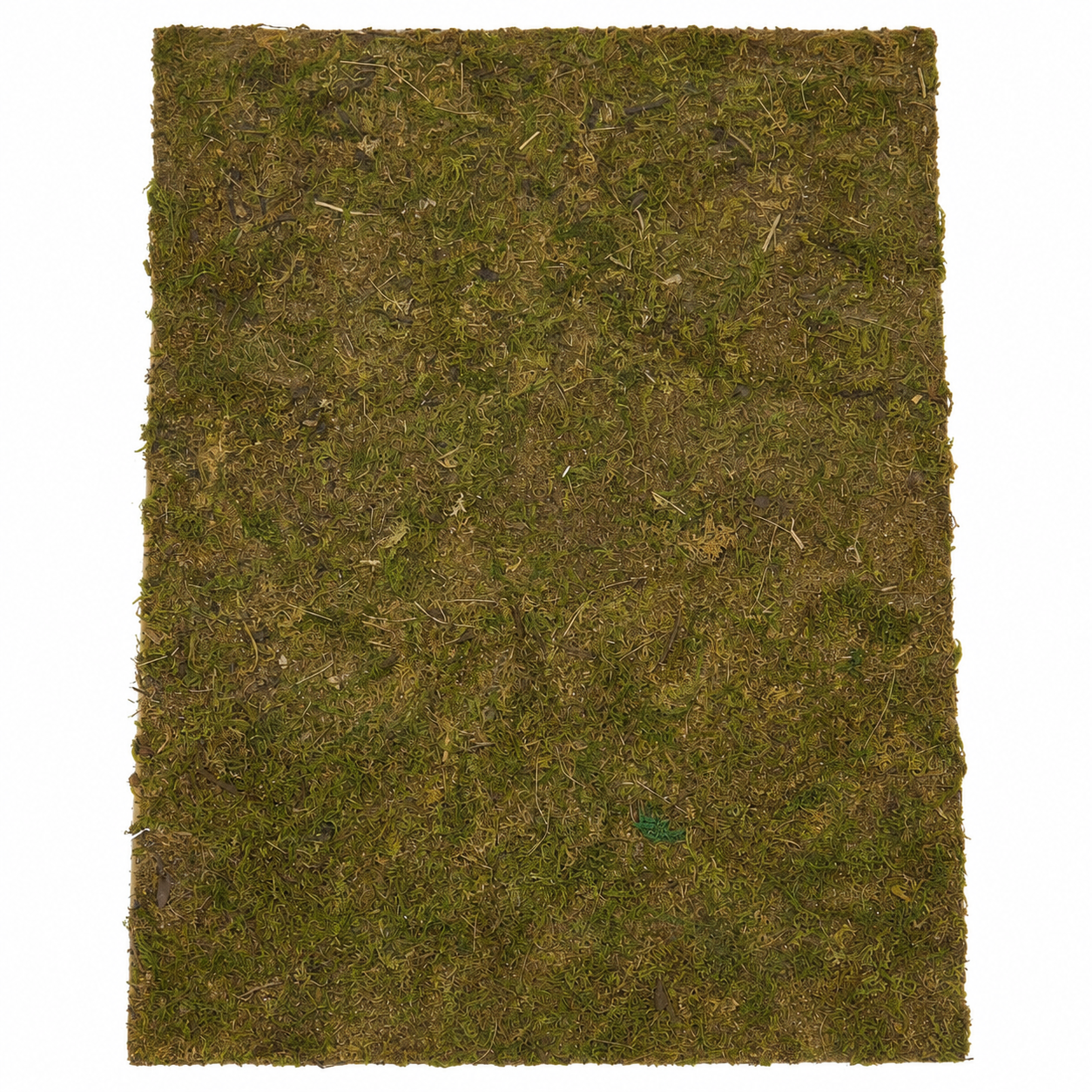 Natural Moss Sheet for Christmas Village Displays and Festive DIY Decorations