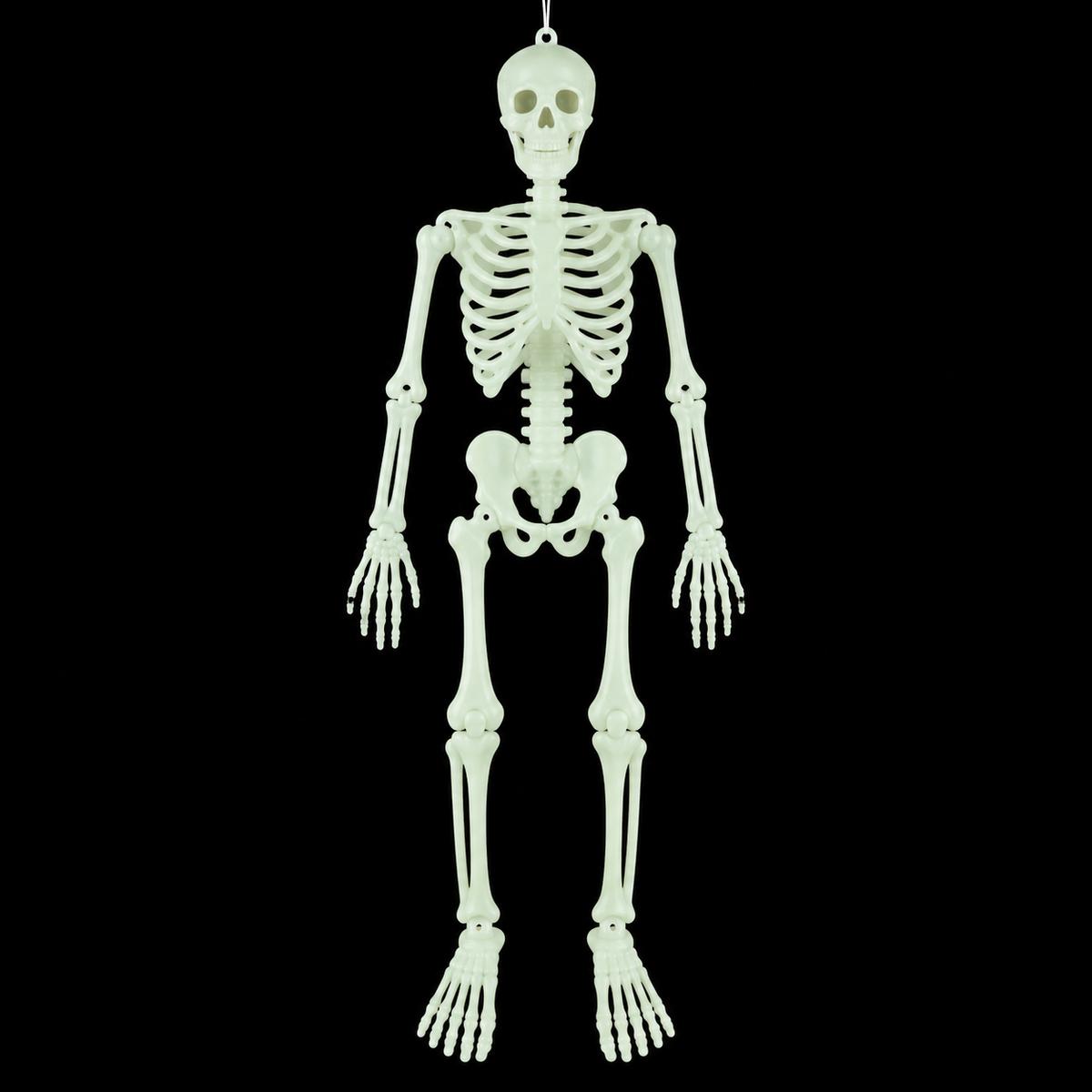 Glow in The Dark Full Body Halloween Skeleton Decoration