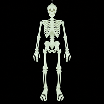 Glow in The Dark Full Body Halloween Skeleton Decoration