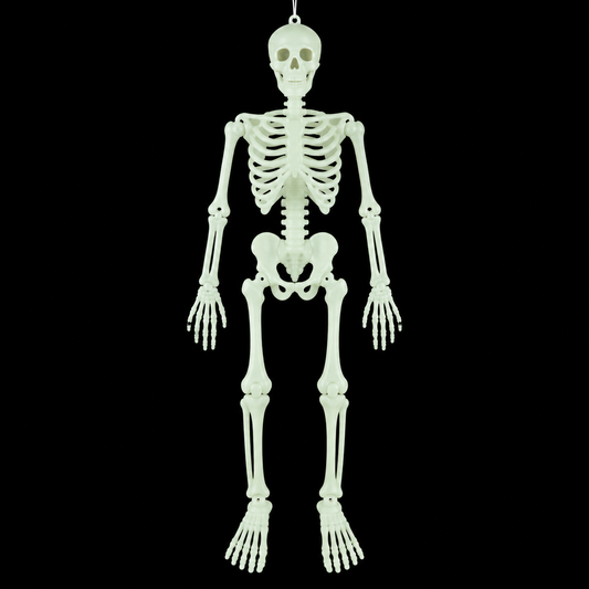 Glow in The Dark Full Body Halloween Skeleton Decoration