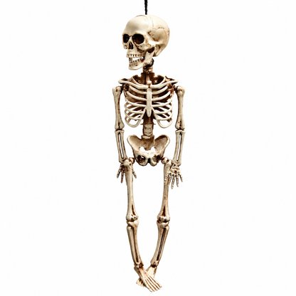 40CM Halloween Hanging Skeleton Decoration with Movable Joints