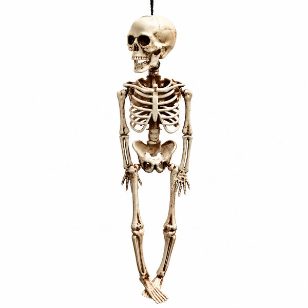 40CM Halloween Hanging Skeleton Decoration with Movable Joints