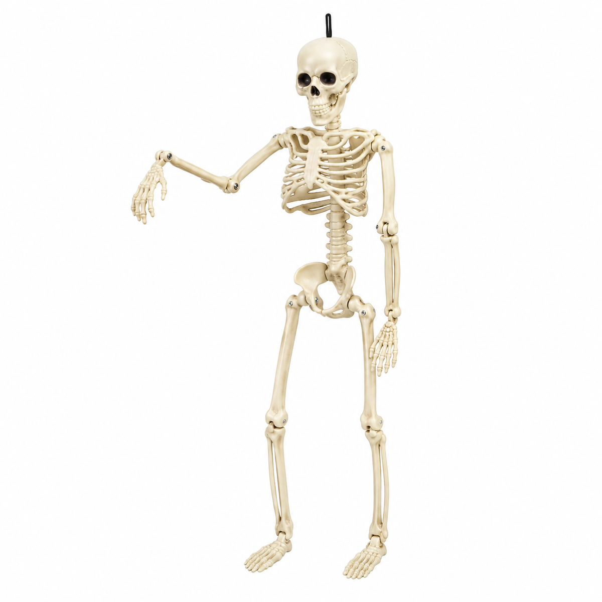 Halloween Hanging Skeleton Decoration, Poseable Plastic Skeleton Prop with Hanging Loop, 40CM