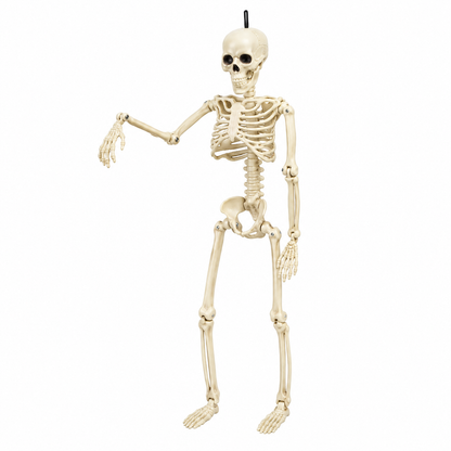 Halloween Hanging Skeleton Decoration, Poseable Plastic Skeleton Prop with Hanging Loop, 40CM