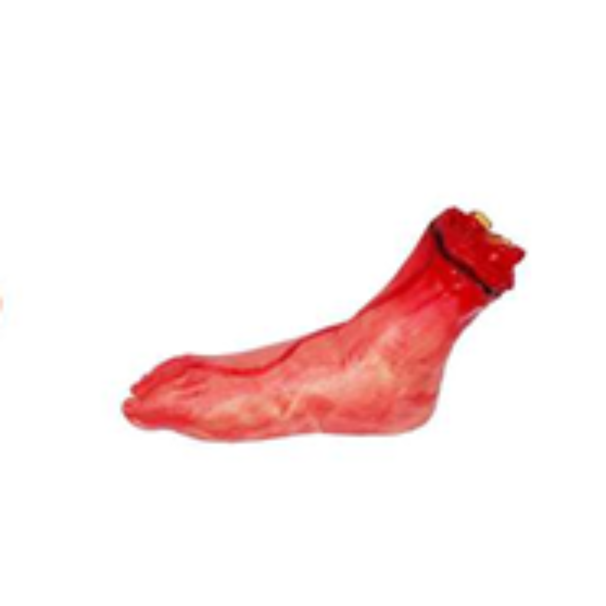 Halloween Severed Foot Prop, Bloody Fake Leg Horror Decoration for Haunted House Display