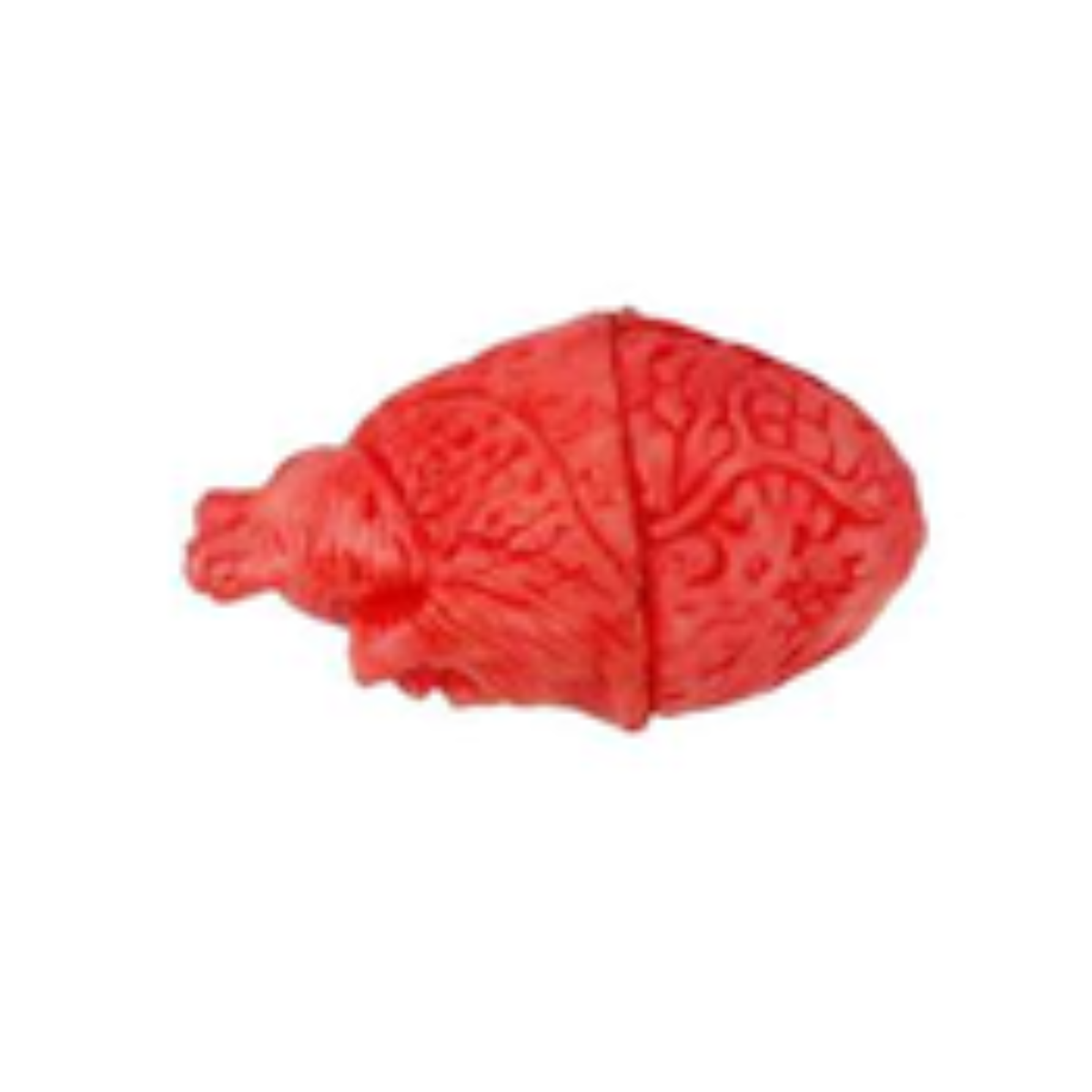 Halloween Bloody Brain Horror Decoration