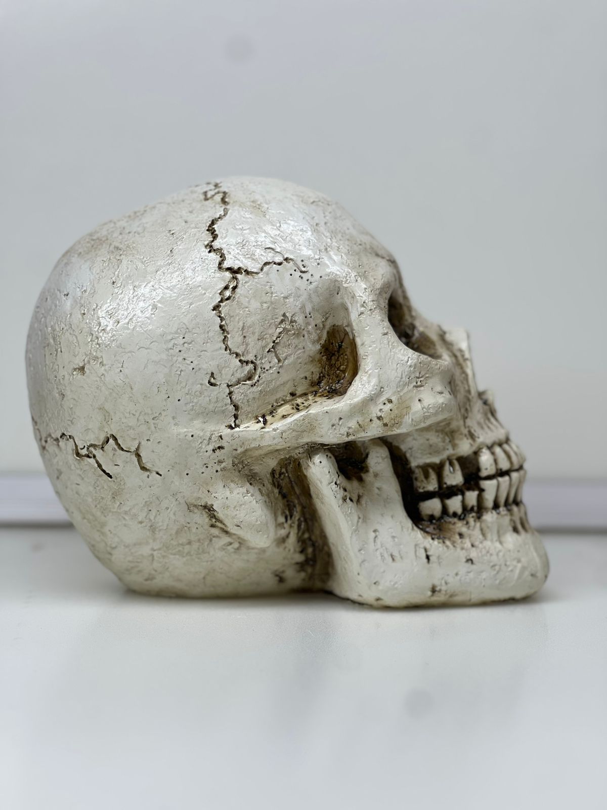 Realistic Halloween Skull Decoration – 18cm Gothic Tabletop Decor